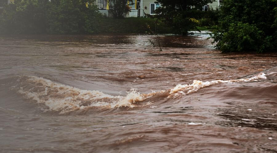 Why choose water damage restoration service for burst pipe water damage in Carrollton